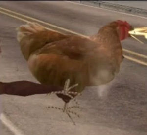 Meet your Posher, Hee